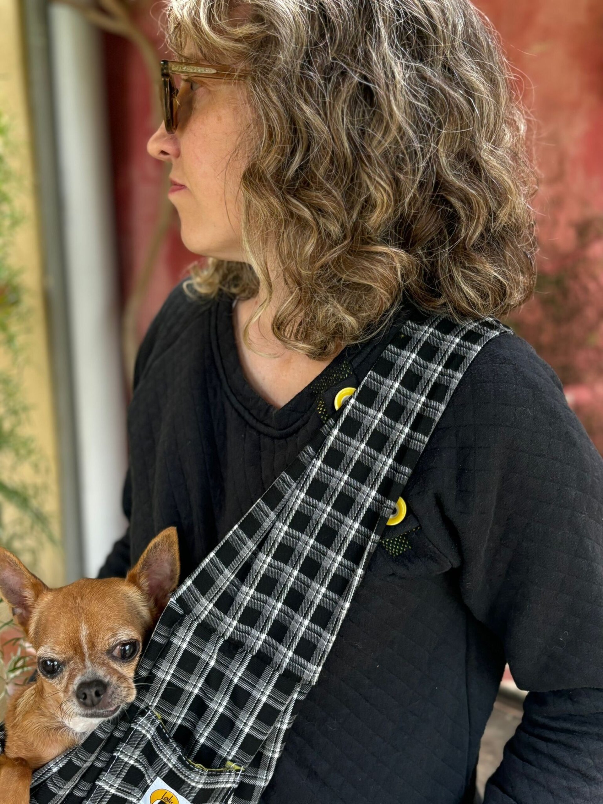 Bolso para perro pequeño-Cuadros - 5