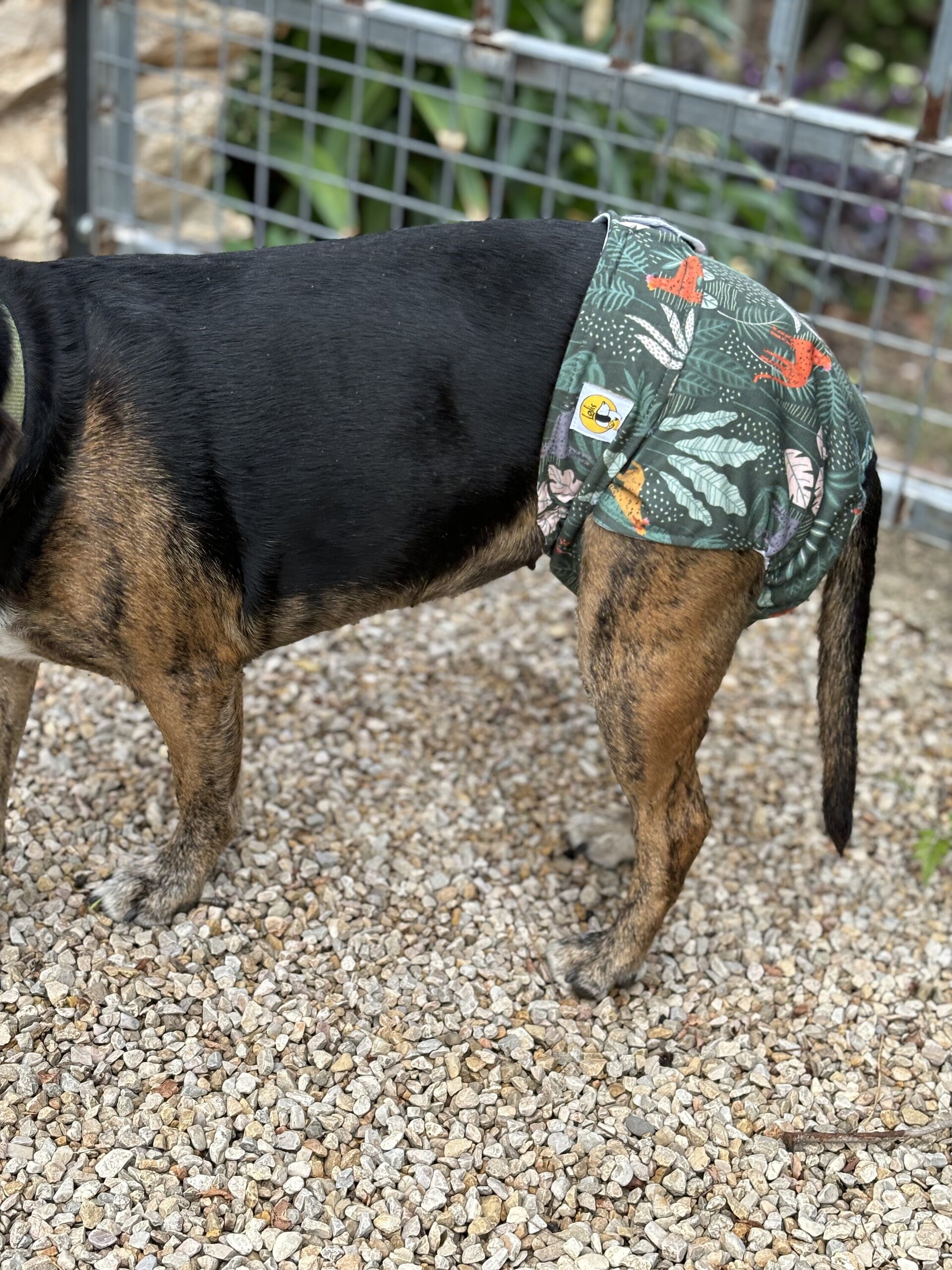 Pack pañales HEMBRA - 3 unidades - Modelo Braguita - 4