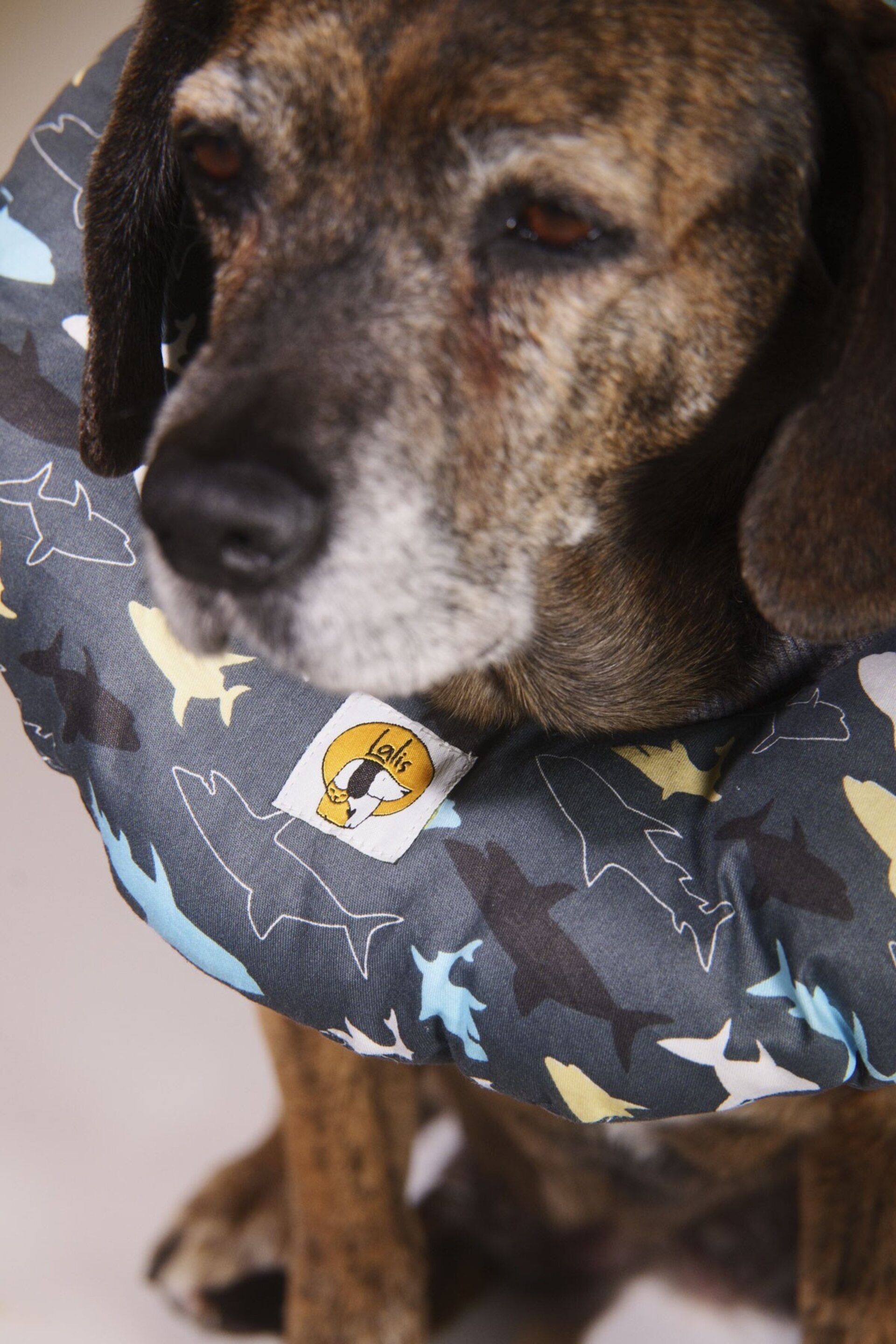 Collarin Donut Marino - 2
