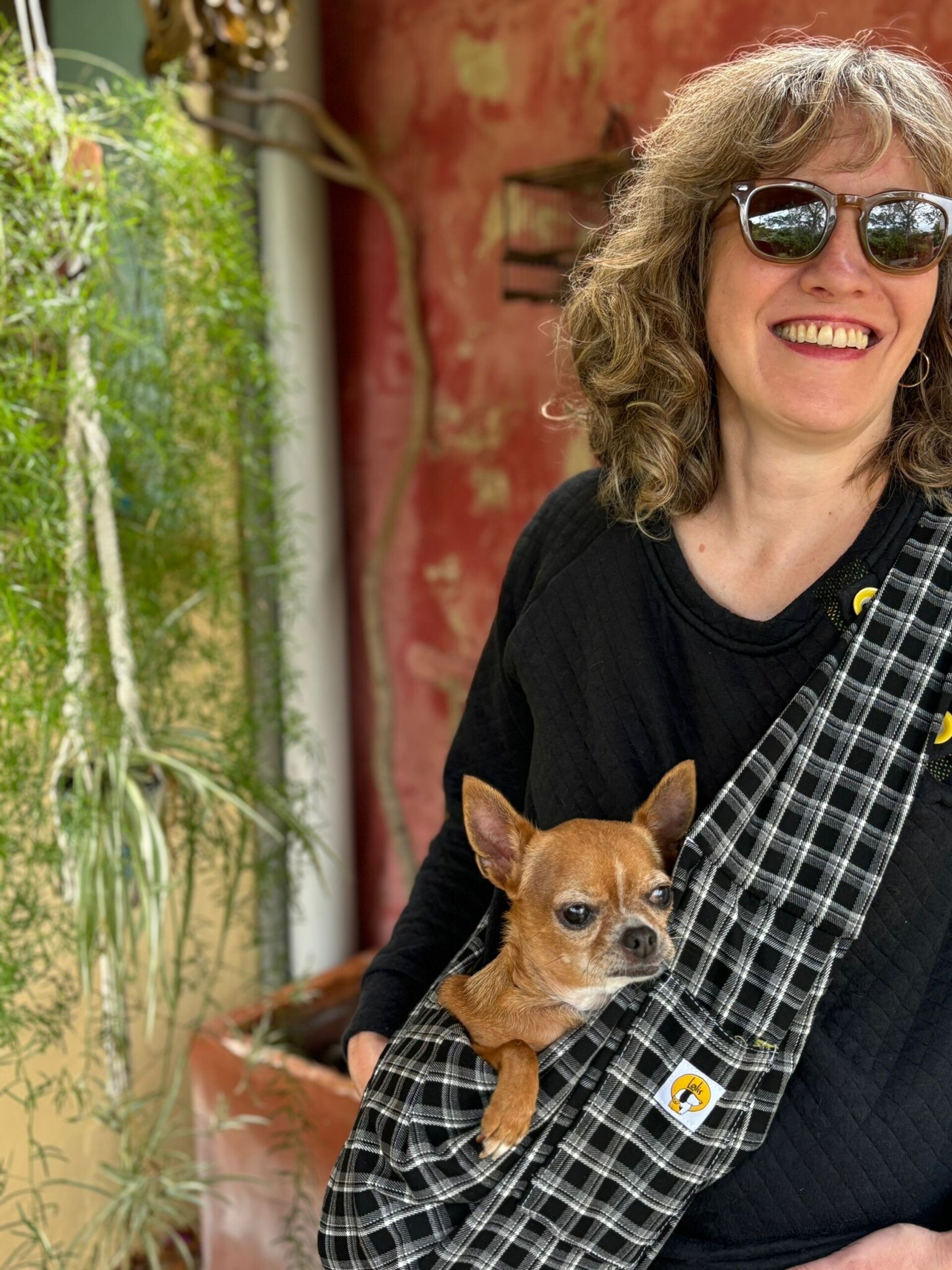 Bolso para perro pequeño-Cuadros - 6