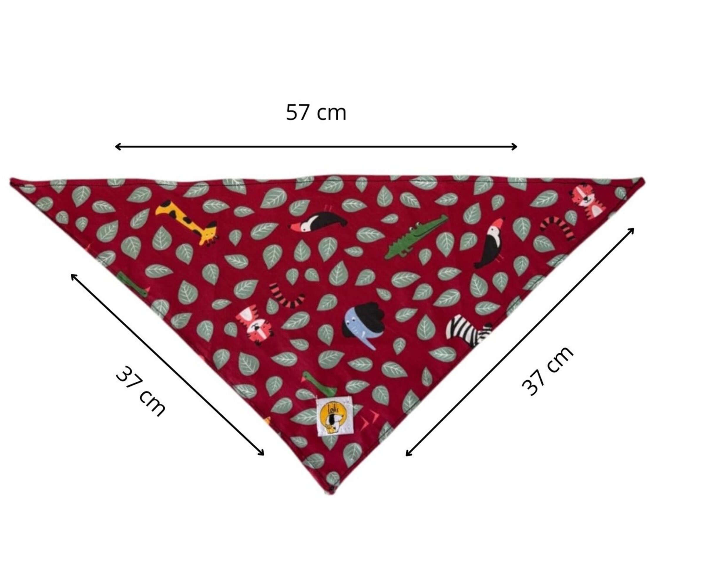 Bandana Solidaria - 4