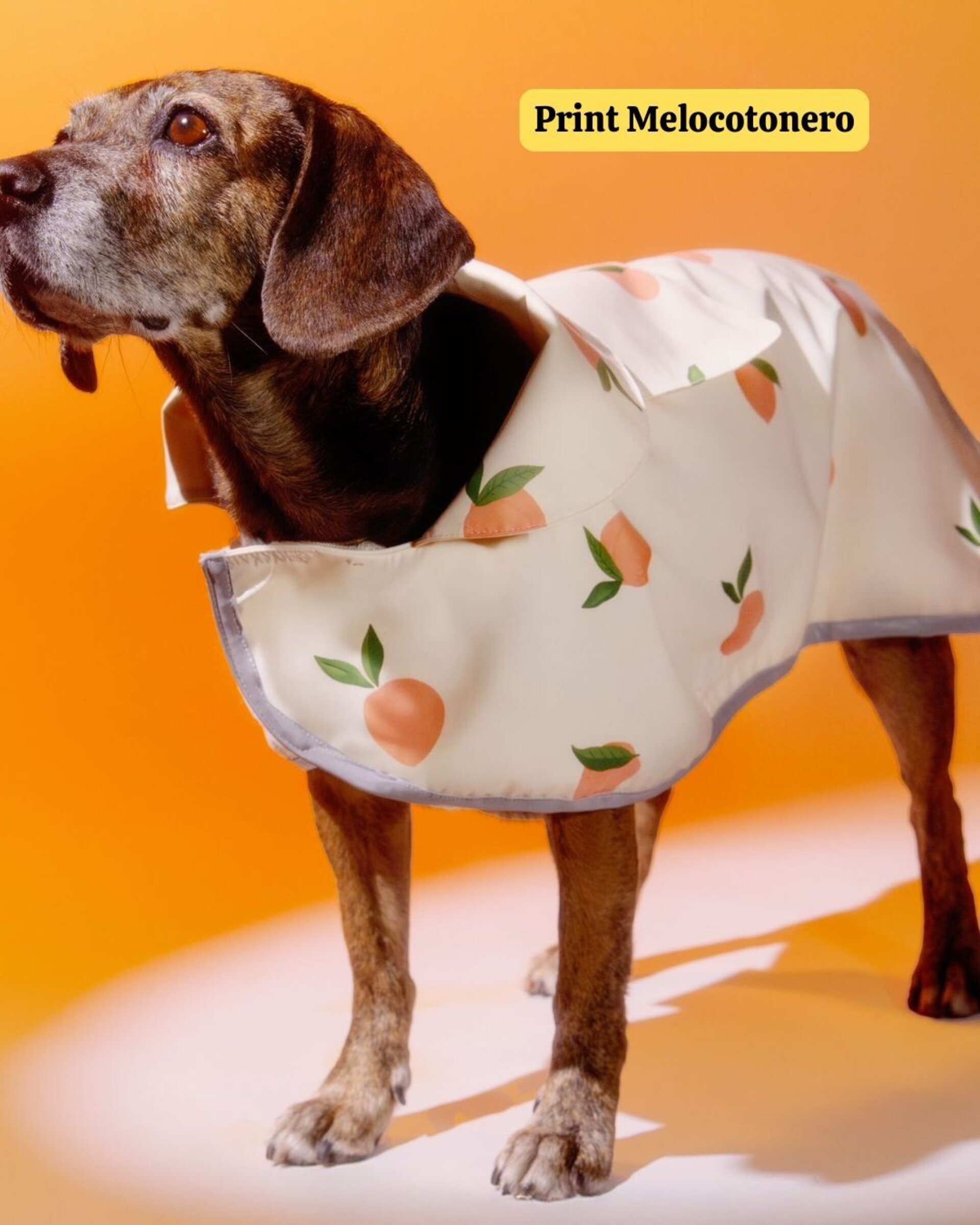 Chubasquero impermeable - 4