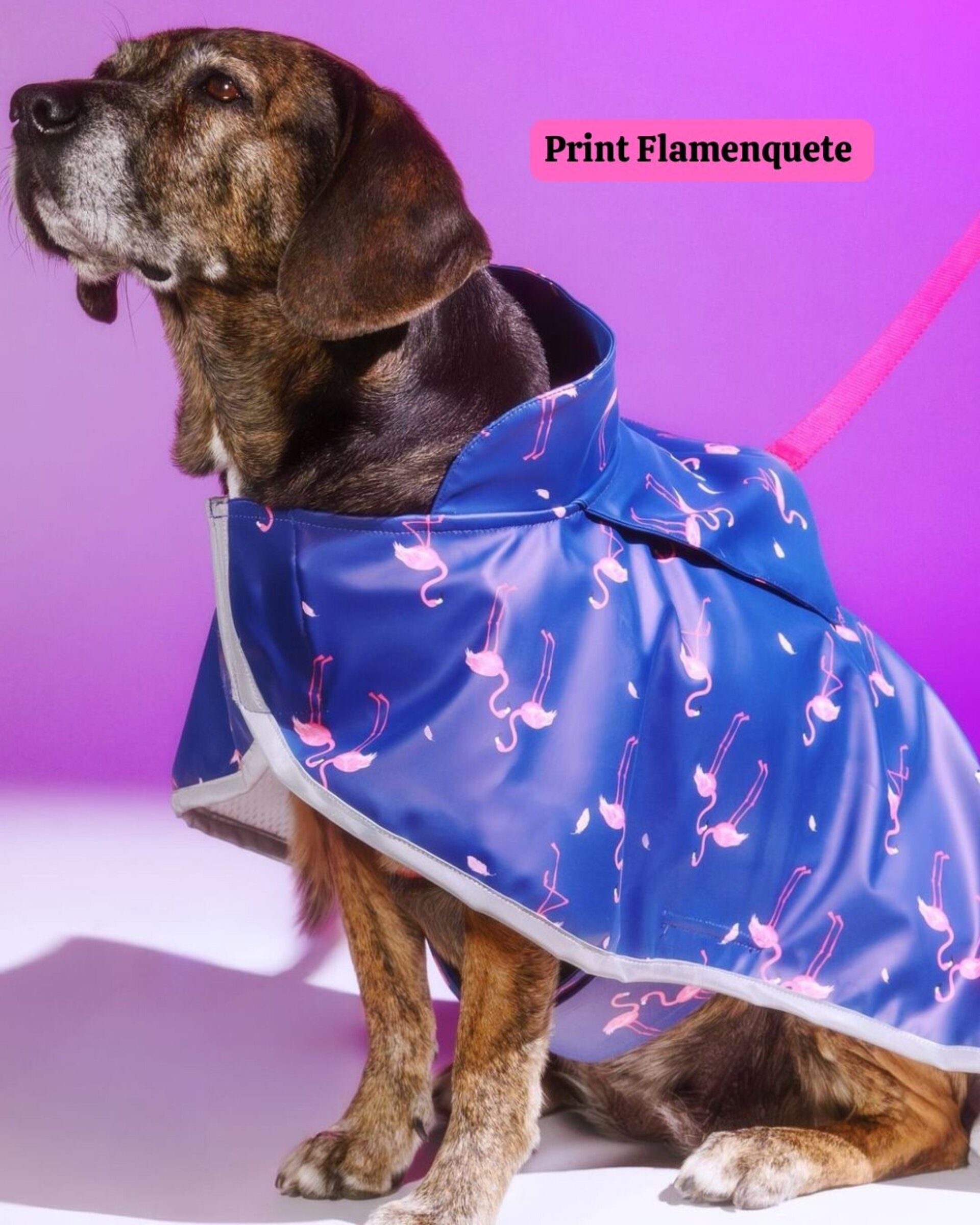 Chubasquero impermeable - 2