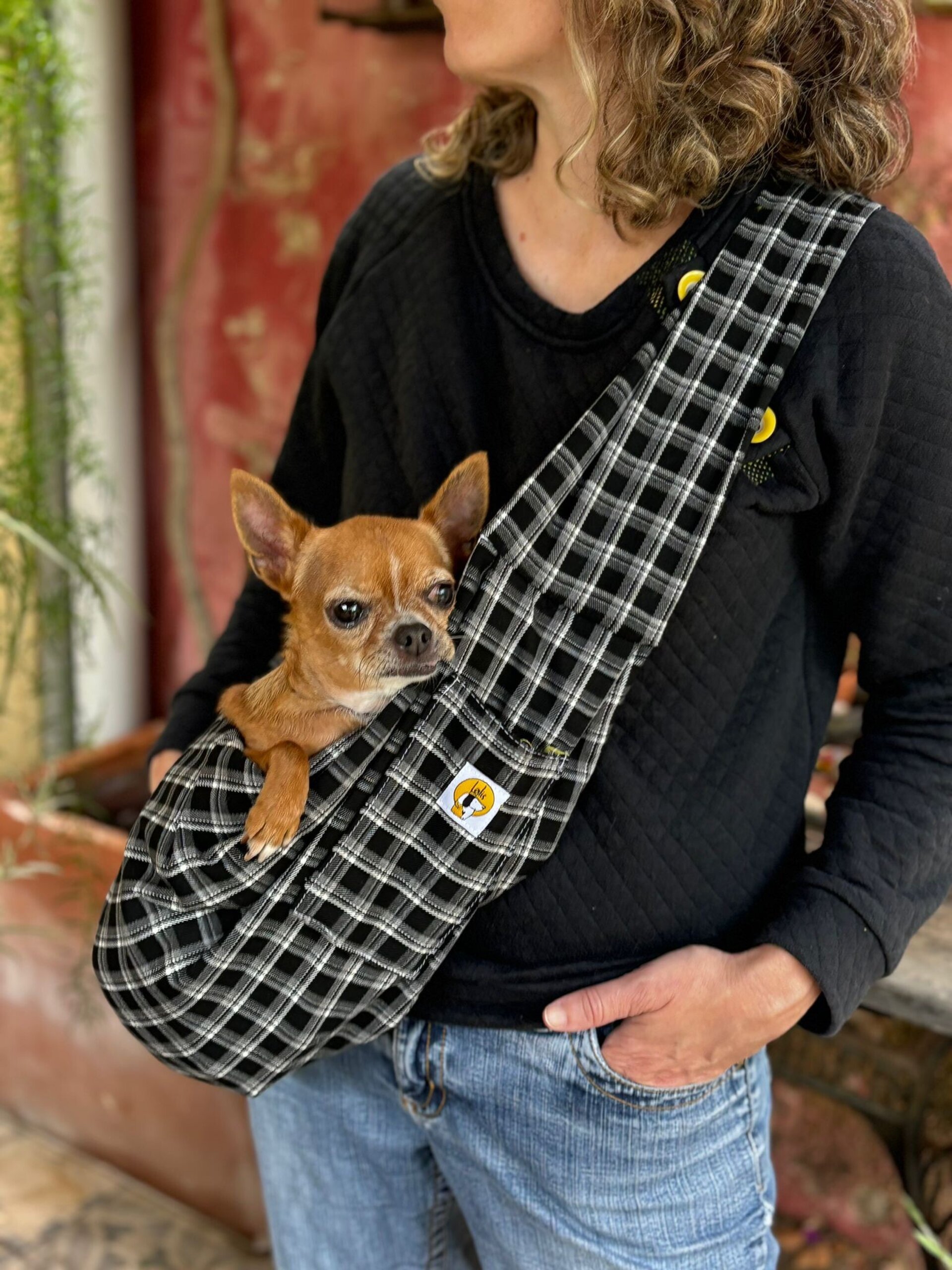 Bolso para perro pequeño-Cuadros - 2