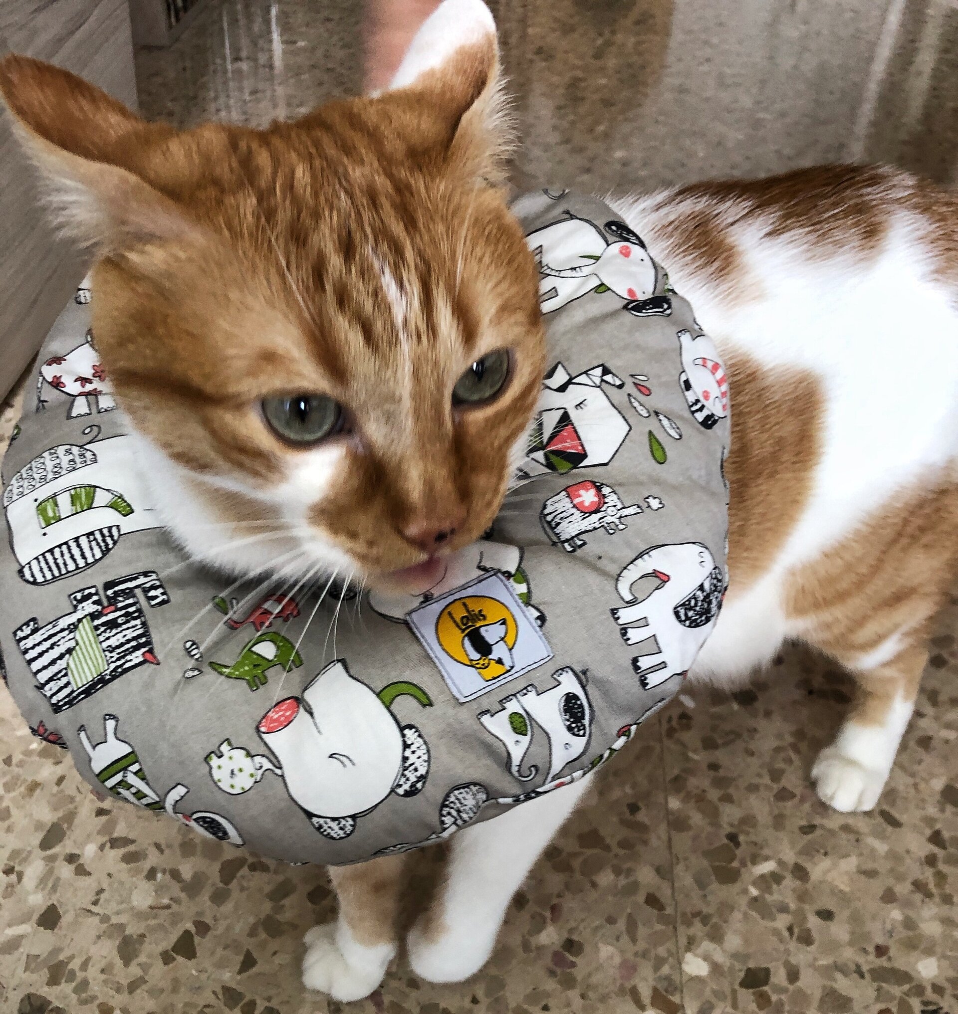 Collarin Donut Boira - 7