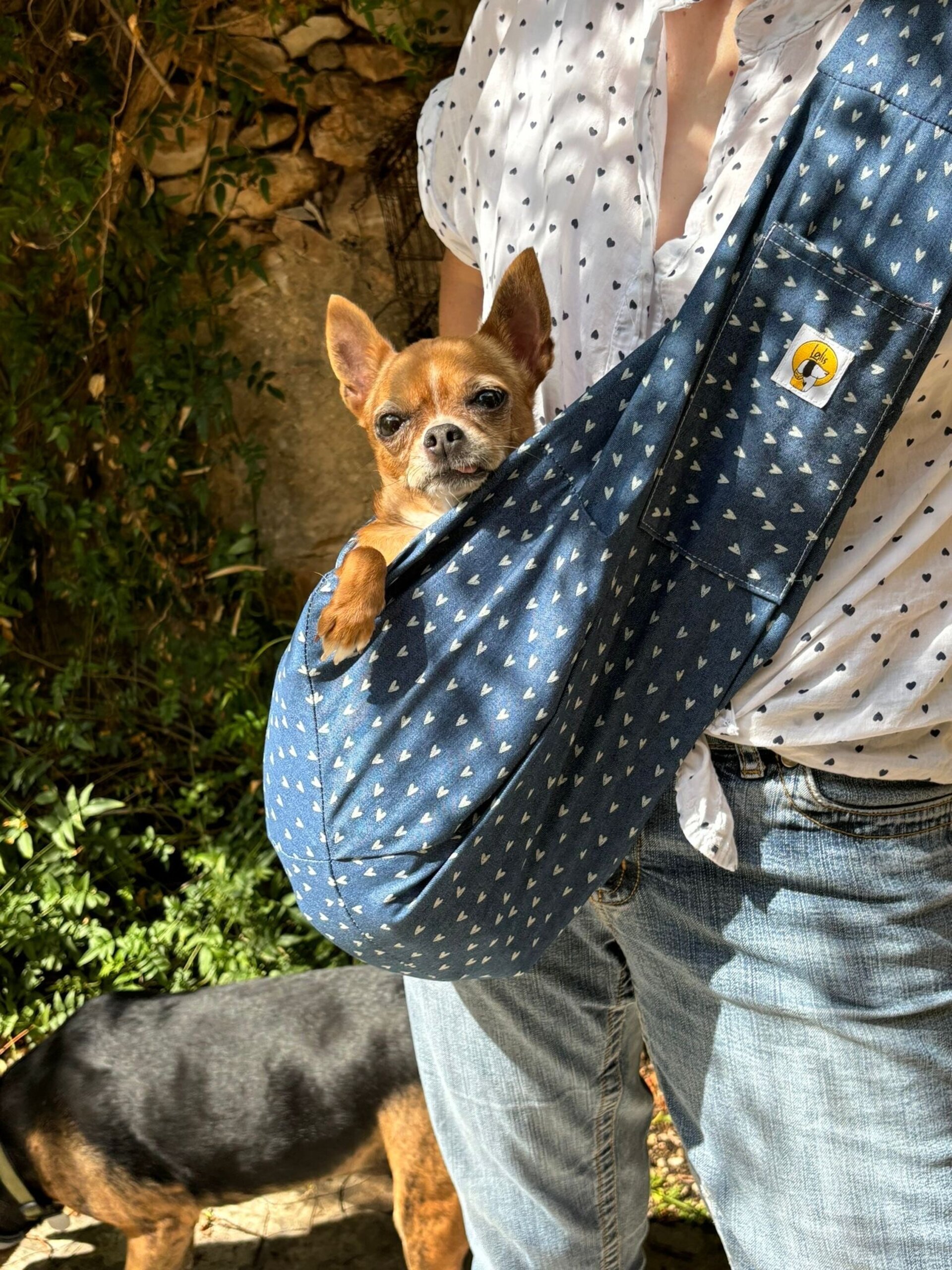 Bolso para perro pequeño. Tejano - 1