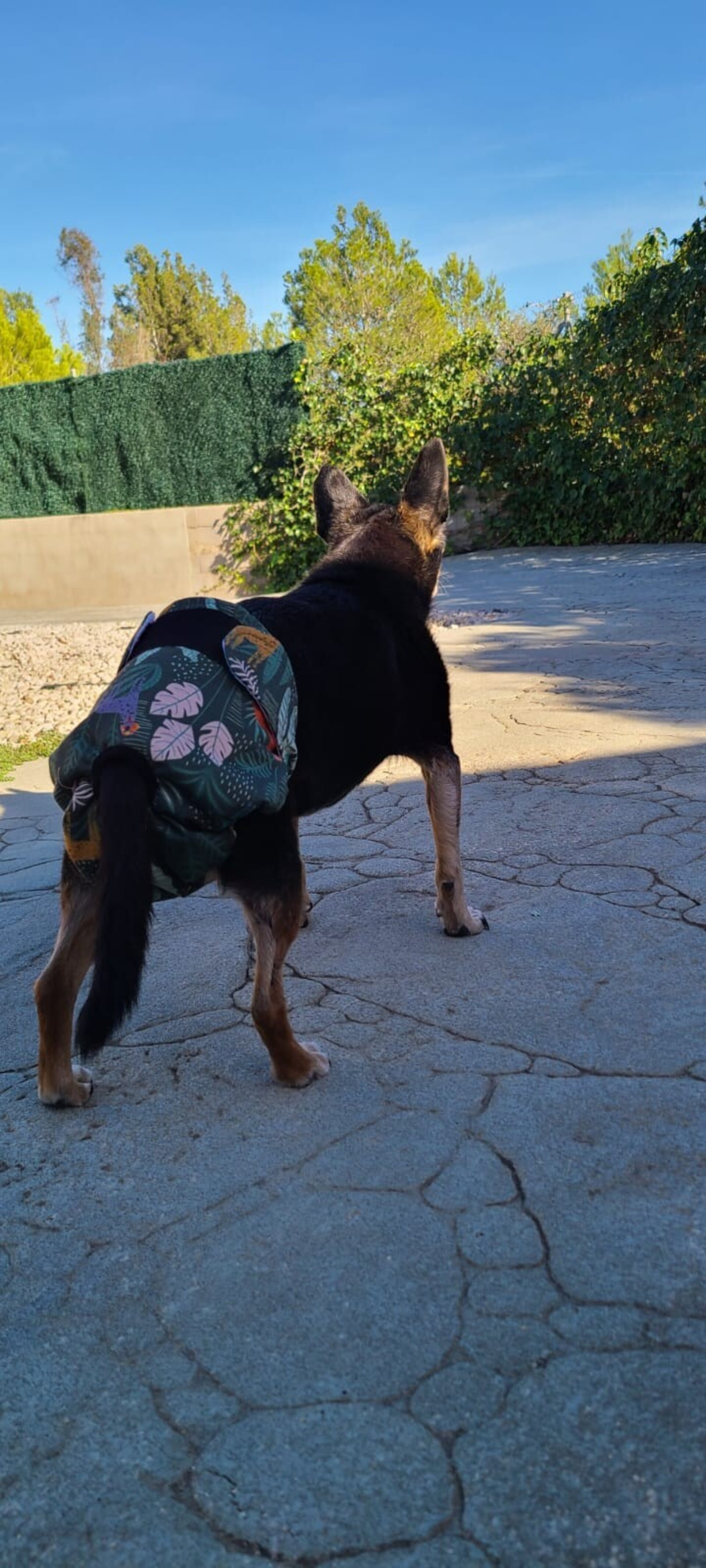 Pack pañales HEMBRA - 3 unidades - Modelo Braguita - 3