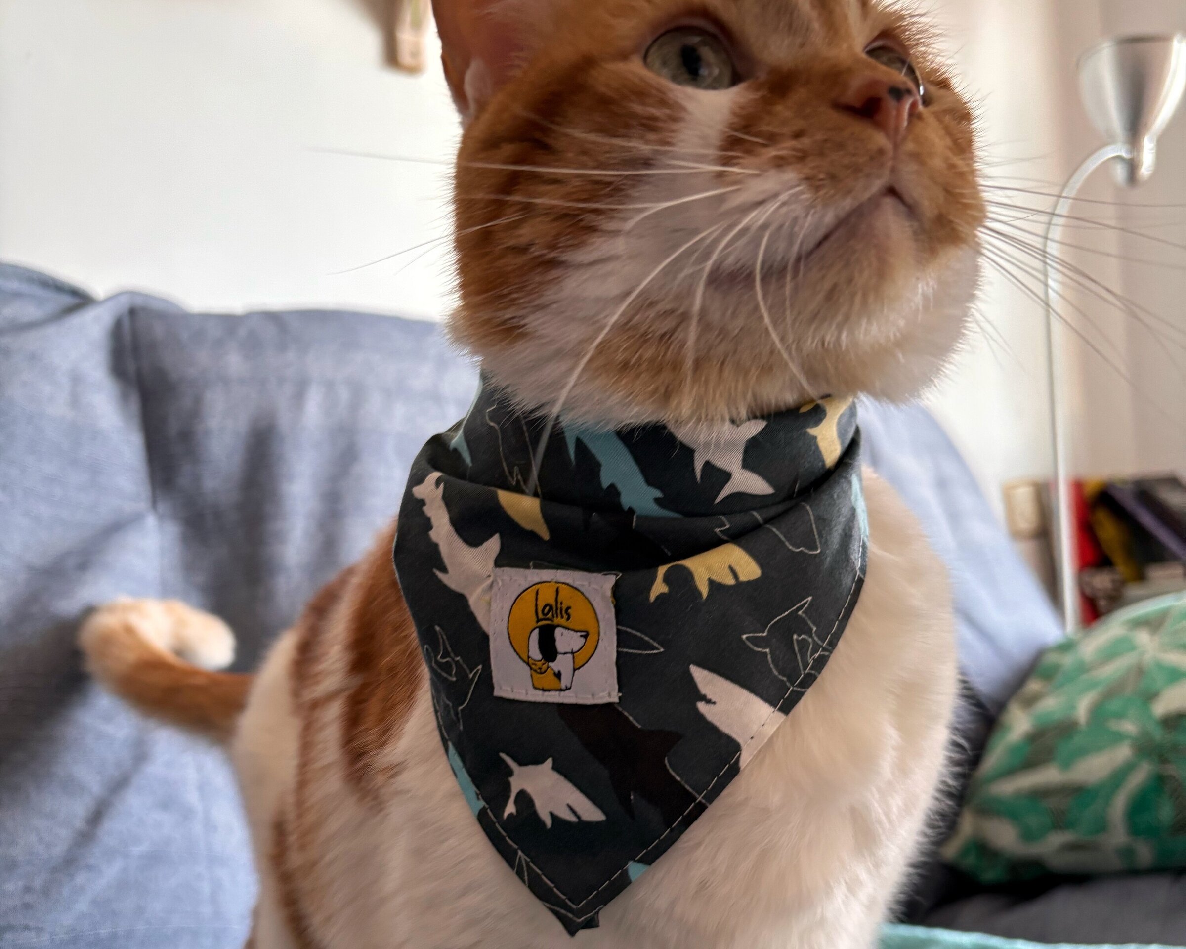 Bandana Solidaria - 2