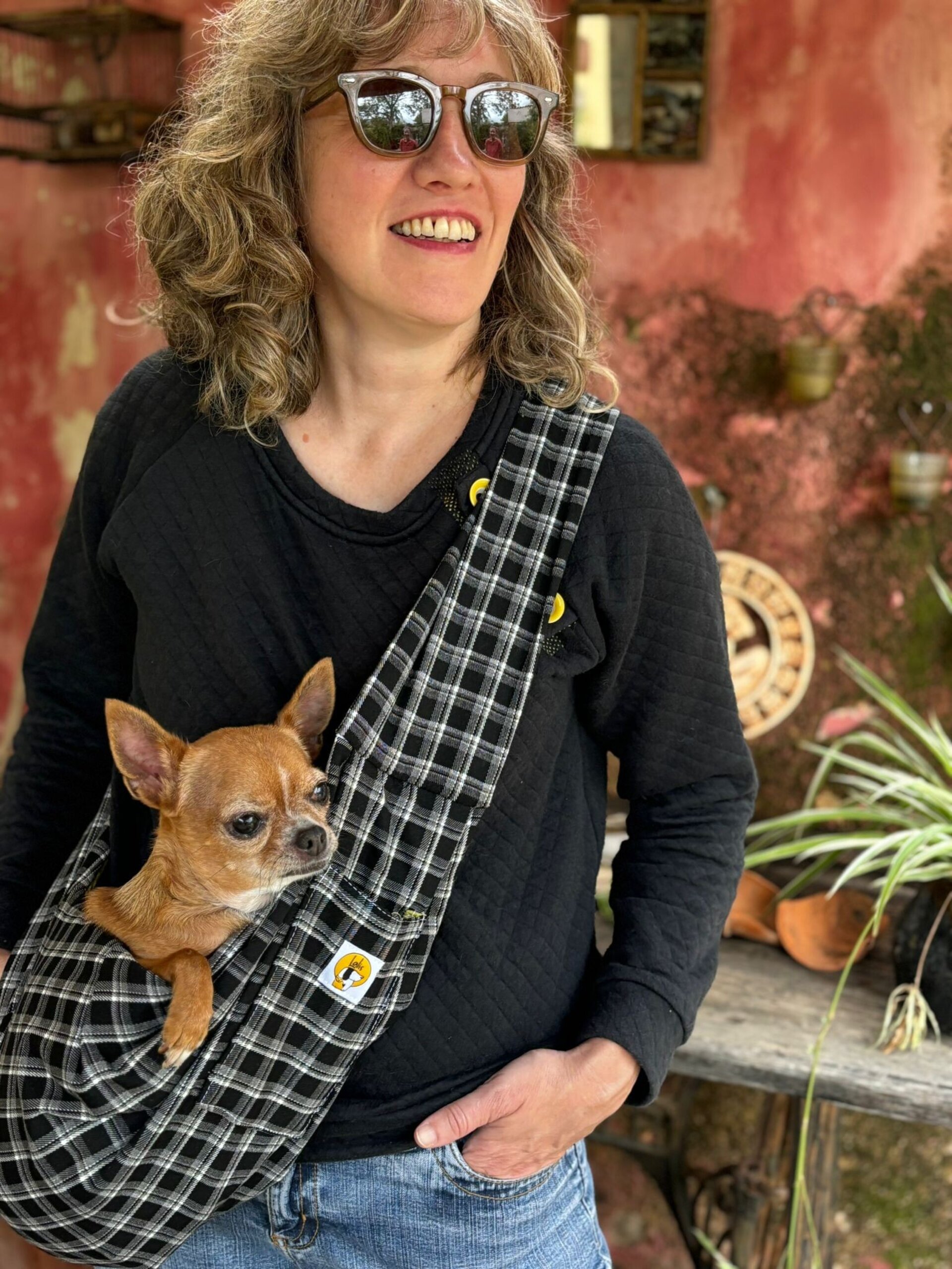 Bolso para perro pequeño-Cuadros - 4
