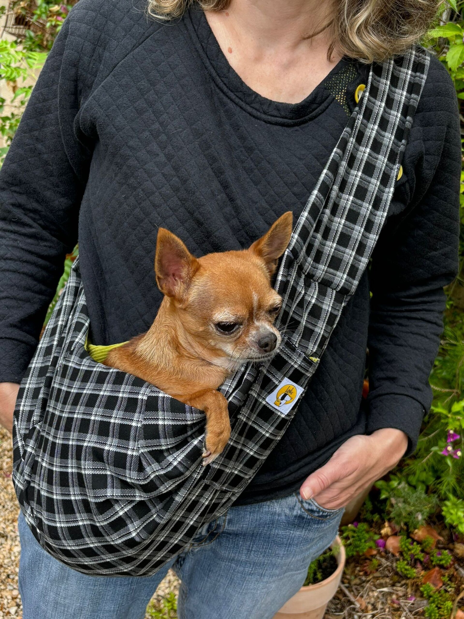Bolso para perro pequeño-Cuadros - 3